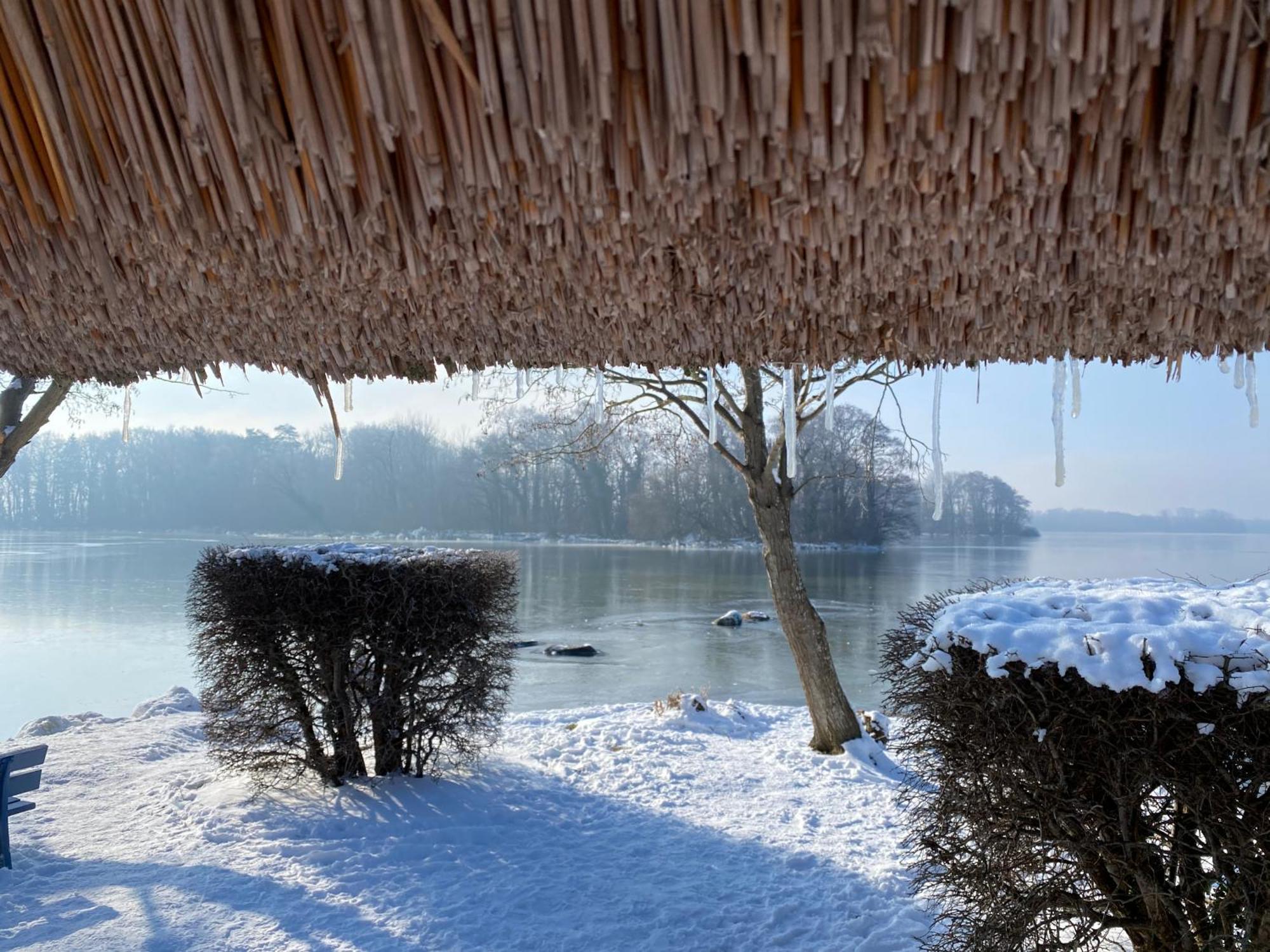 Apartment Idyllischer Erholungsurlaub Im Historischen Auf Der Prinzeninsel *